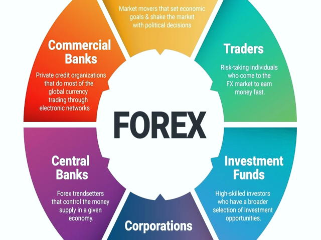 چه کسانی در بازار Forex شرکت می کنند؟